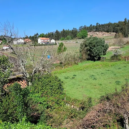 Ninho Das Andorinhas-2