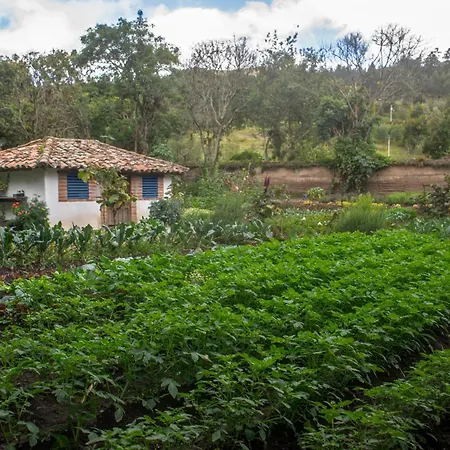 Hacienda Cusin-3