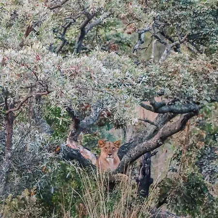 Tshwene Lodge-2