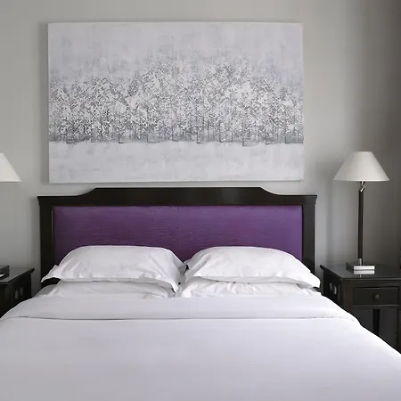 Hotel Royal Saint Honore Paris Louvre-3