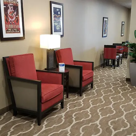 Comfort Inn Memphis Downtown-3