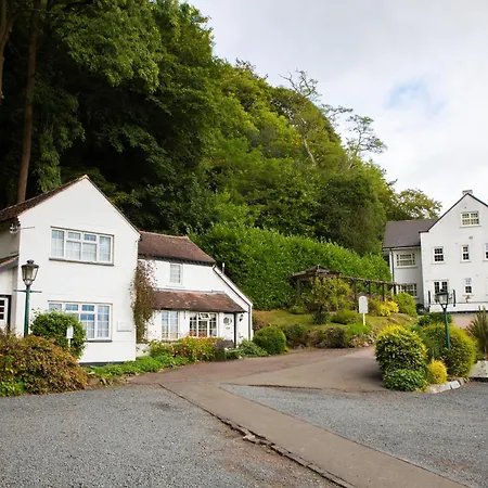 Cottage In The Wood-3
