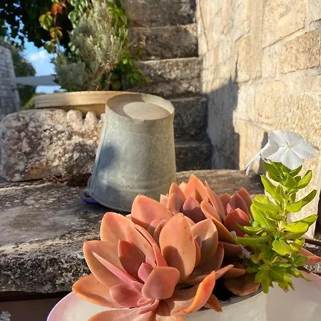 B&B Via dei Trulli-3