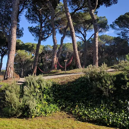 Augusta Barcelona Vallès-2