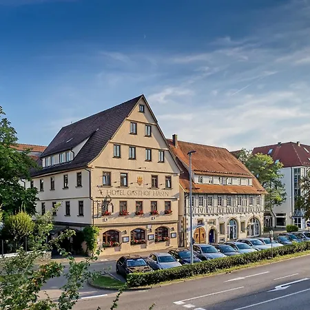 Ringhotel Gasthof Hasen-3