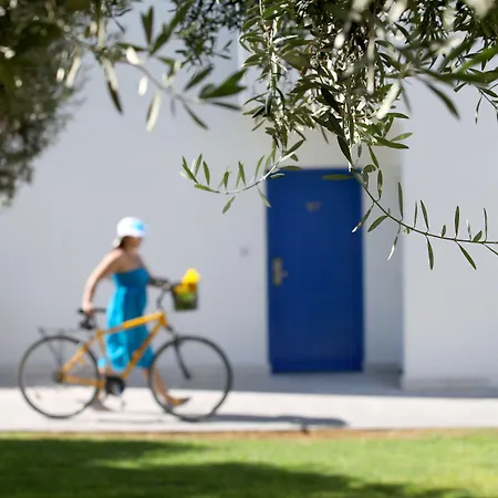 Aliathon Aegean-3