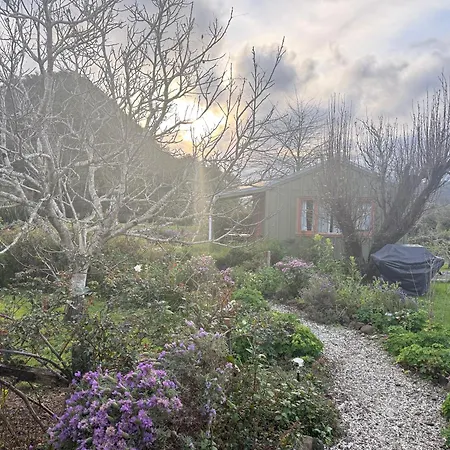 Wisteria Way-3