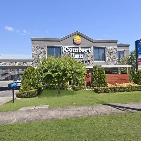 Comfort Inn On Raglan-3