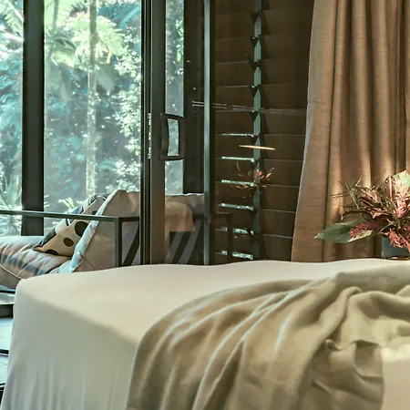 Daintree Ecolodge-3