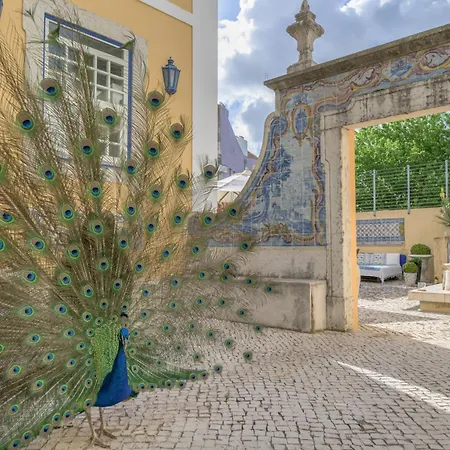 Solar Do Castelo - Lisbon Heritage Collection - Alfama-3
