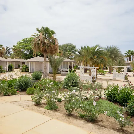 Oasis Belorizonte-2