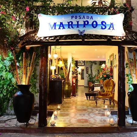 Posada Mariposa Boutique Hotel - 5th Avenue-3