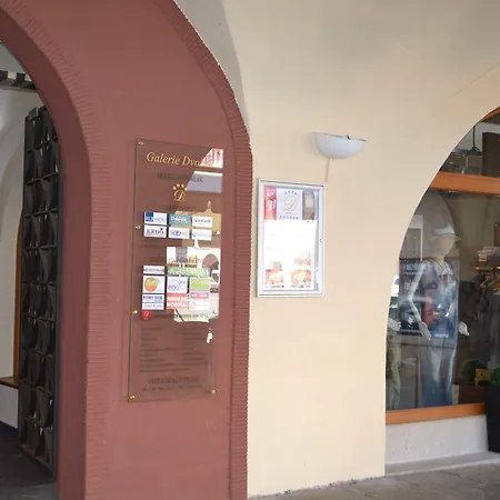 Hotel Dvorak-2