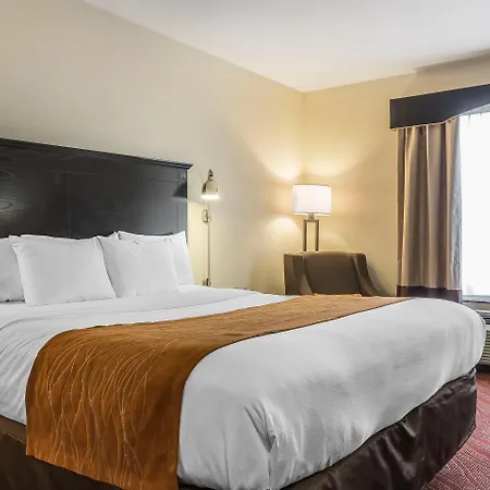 Comfort Inn & Suites Laguardia Airport-3