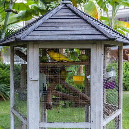 La Pagerie - Tropical Garden Hotel-3