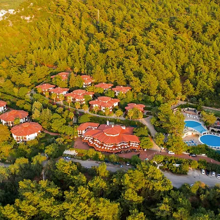 Montana Pine Resort-2