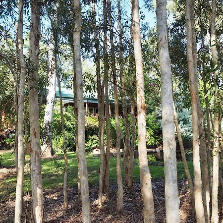 Lake Weyba Cottages Noosa-3