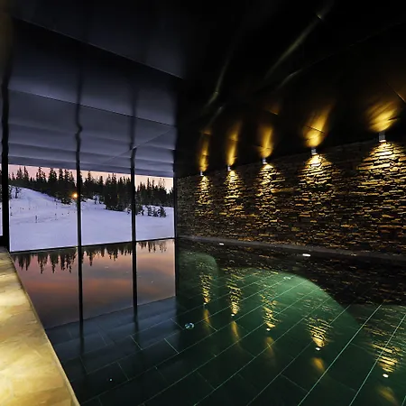 Copperhill Mountain Lodge-2