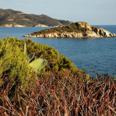 Eco Village Baia Delle Ginestre-3