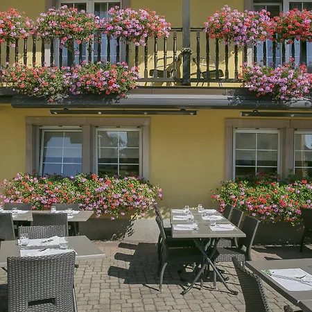 Best Western Plus Au cheval Blanc à Mulhouse-3