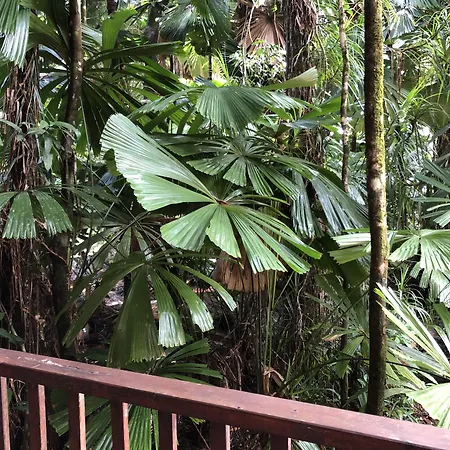 Daintree Wilderness Lodge-2