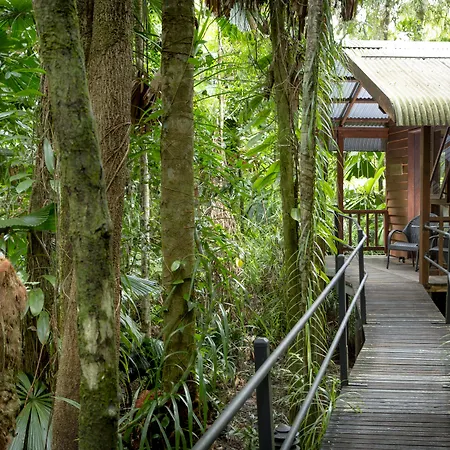 Daintree Wilderness Lodge-2