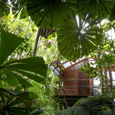 Daintree Wilderness Lodge-3