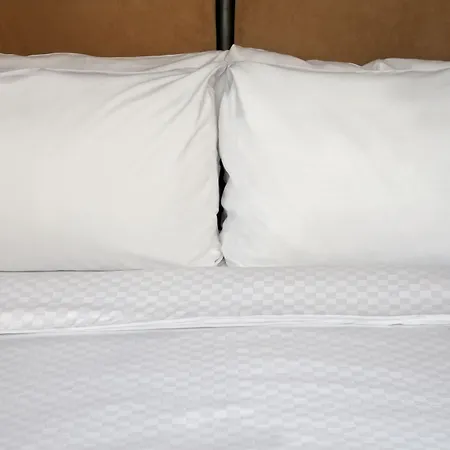 Four Points By Sheraton Saskatoon-2