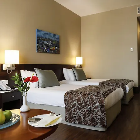 Isg Sabiha Goekcen Airport Hotel-3