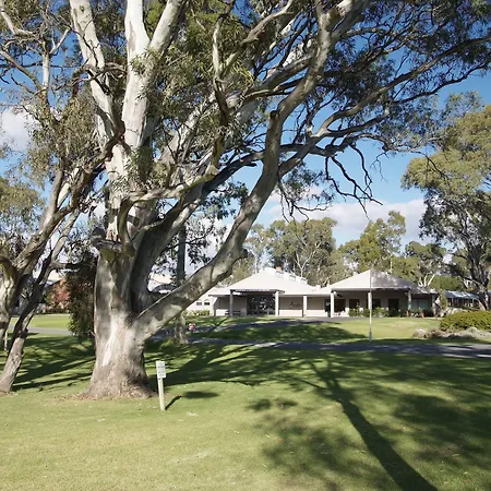Serafino Mclaren Vale-2