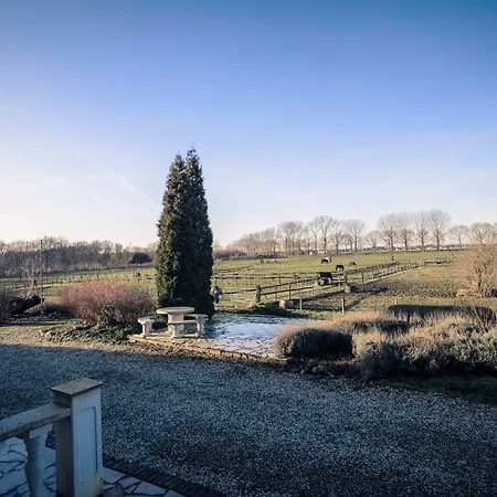 Hotel Restaurant De Roosterhoeve-2