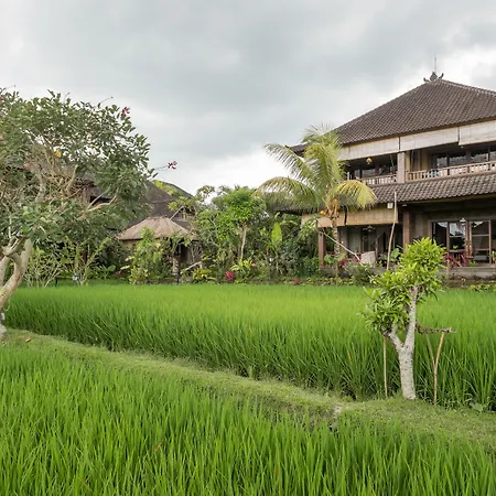Bliss Ubud Spa Resort-3