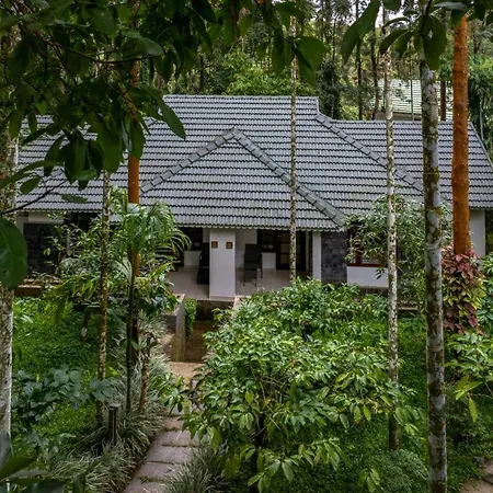 The Woods Resorts Wayanad-2