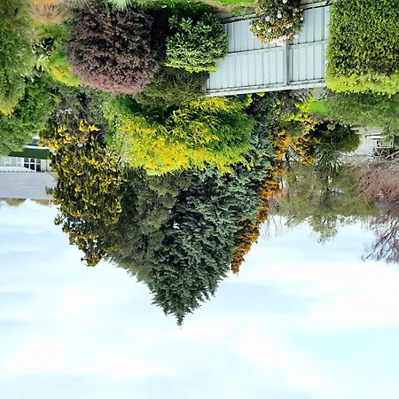 Lilybrook Motel-3