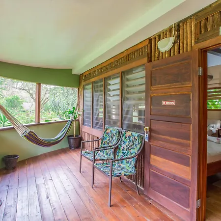 Bocawina Rainforest Resort-3