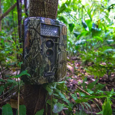 Bocawina Rainforest Resort-2