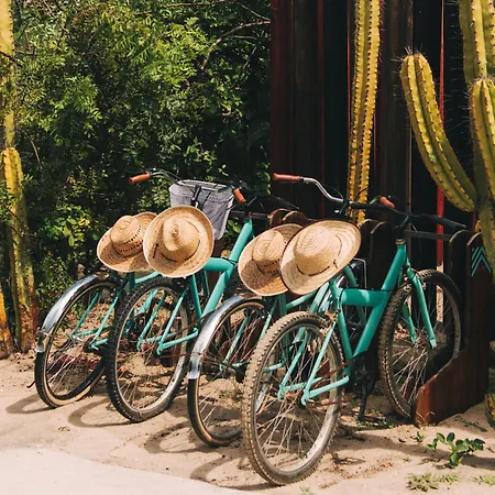 Hotel Escondido, Puerto Escondido - Adults Only-3