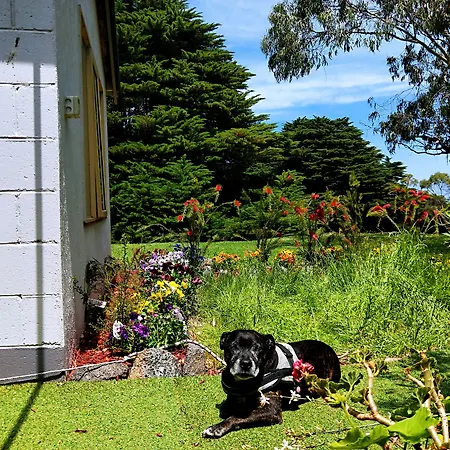Twelve Apostles Motel & Country Retreat-2