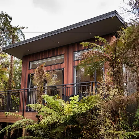 Rainforest Retreat-2