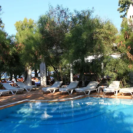 Okaliptus Otel-3