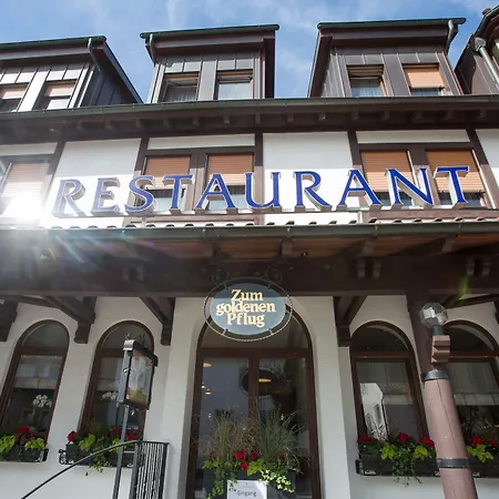 Hotel&Restaurant Goldener Pflug-2