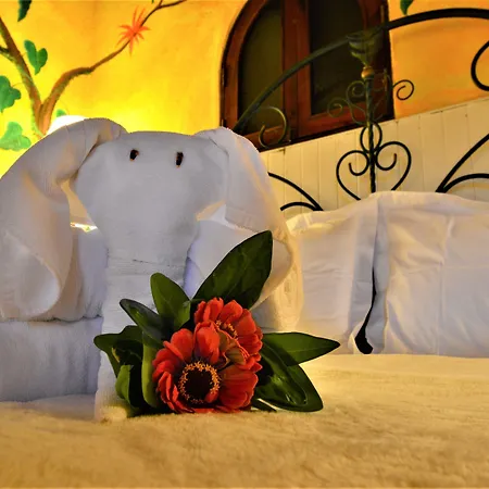 Hotel La Mansion Inn Arenal-2