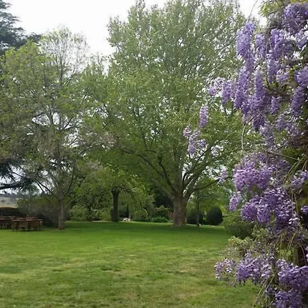 Petersons Armidale Winery And Guesthouse-2
