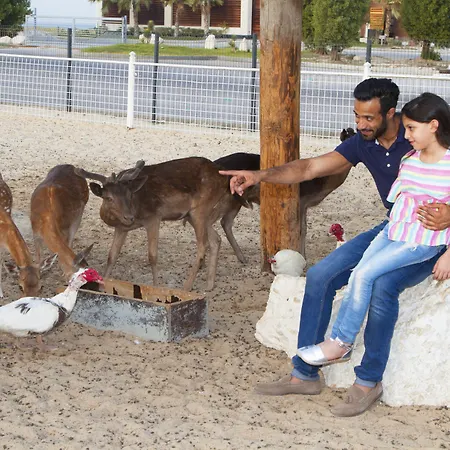 Dana Beach Resort-3