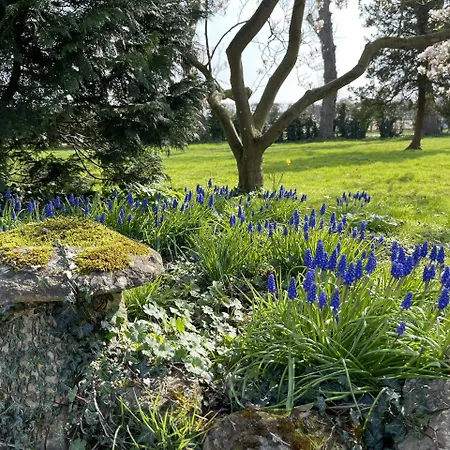 Hill Farm-2