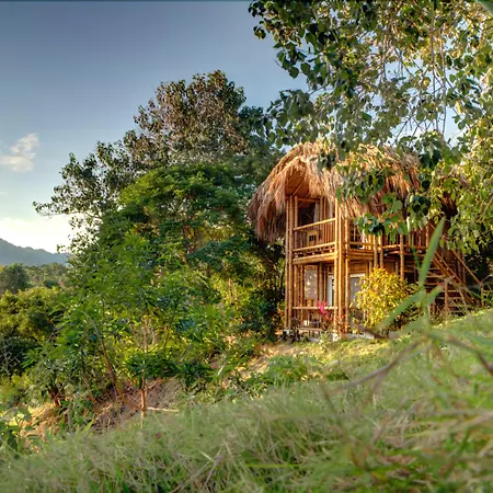 Villa Maria Tayrona, Jungle&Sea Experience-3