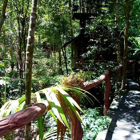 Khao Sok Tree House Resort-2