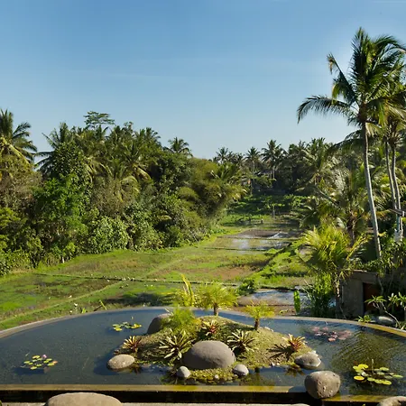 Dwaraka The Royal Villas-2