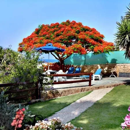 Rododafni Beach Apartments-3