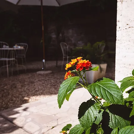Circo Massimo Guest House-2